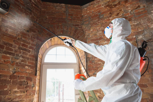 Best Mold Removal for HVAC Installations  in Ligonier, IN