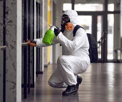 Best Biohazard Mold Removal  in Ligonier, IN